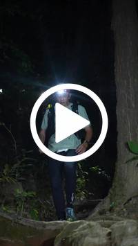 BIB:  <button type="button" onclick="openModal(27648257)" class="btn btn-primary btn-sm float-right" data-toggle="modal" data-target=".modal-high-quality">
                <i class="fa fa-download"></i> Download
                </button>